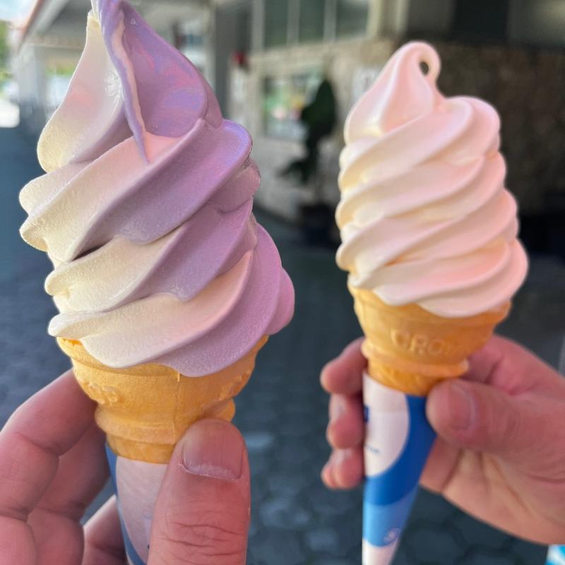 ブルーシールソフトクリーム(伊芸サービスエリア（上り）レストラン  )