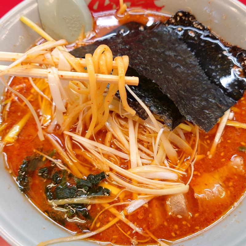 辛味噌ネギラーメン(ラーメン山岡家 松戸北小金店)