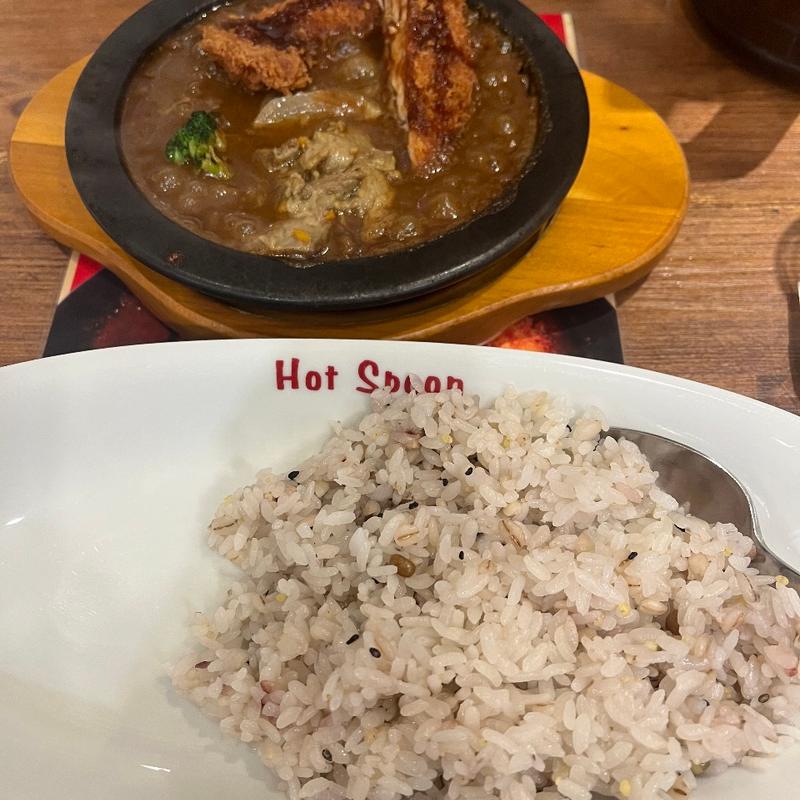 牛すじ煮込み ササミかつカレー、十穀米(hotspoon 五反田店)