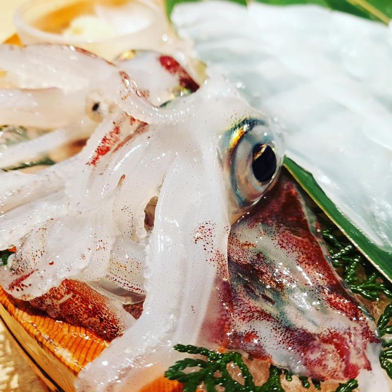 泳ぎイカお造り  山口県産剣先イカ（中2～3人前）(寅八商店 梅田店)