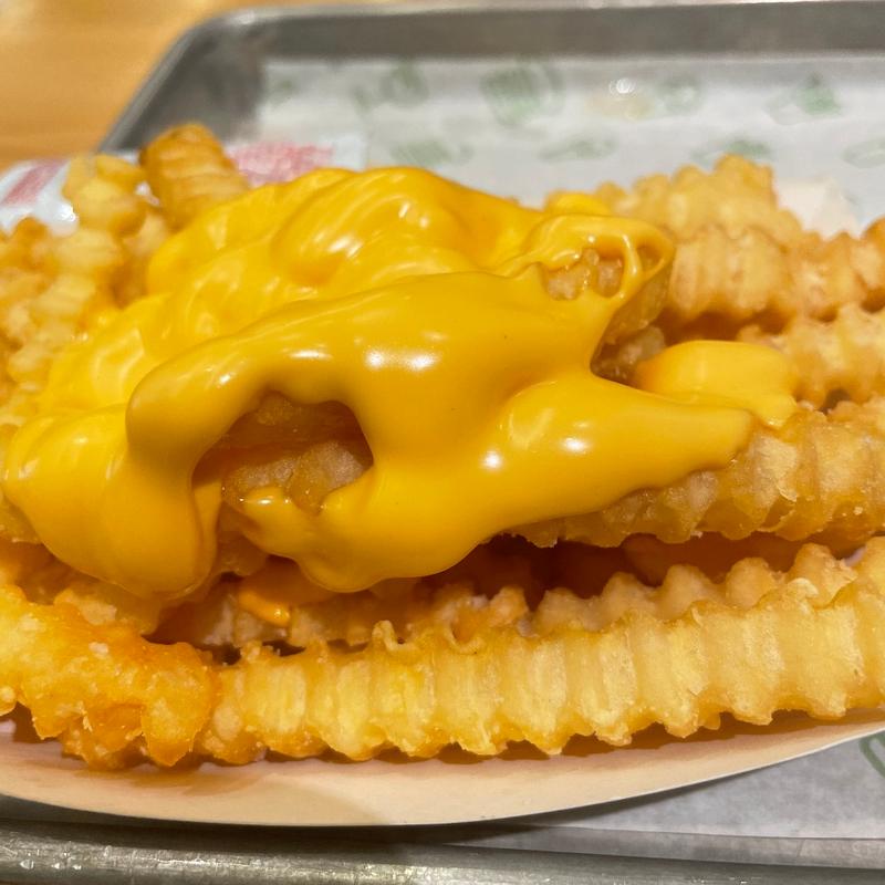(SHAKE SHACK 二子玉川)