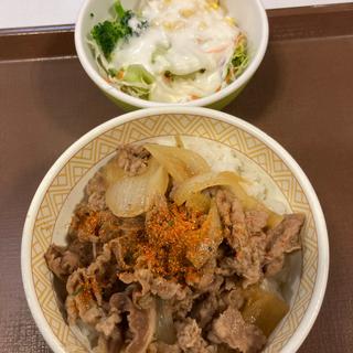 牛丼 並+サラダ(すき家 多摩乞田店 )
