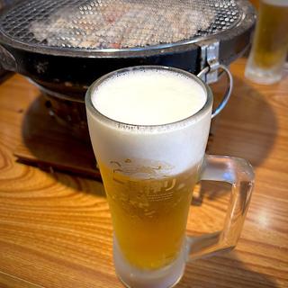 生ビール(五臓六腑 )