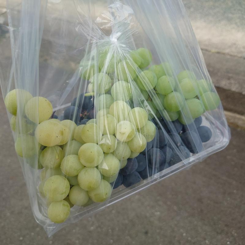 ナイアガラ(黄緑) & キャンベル(紫)(おおはさま産直センター　アスタ )