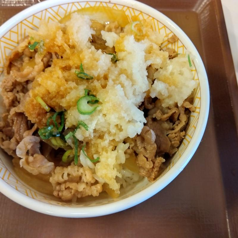 牛丼並オロポントッピング(すき家 木場店 )