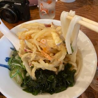 かき揚げうどん(粉やなぎ)