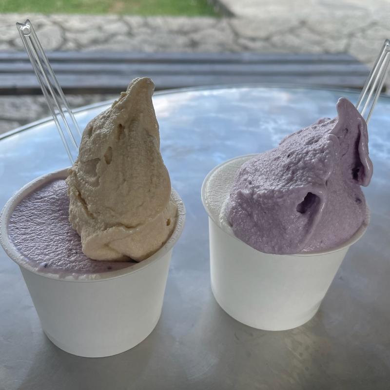 ジェラート 塩黒砂糖紅芋(ミルミル本舗 本店)