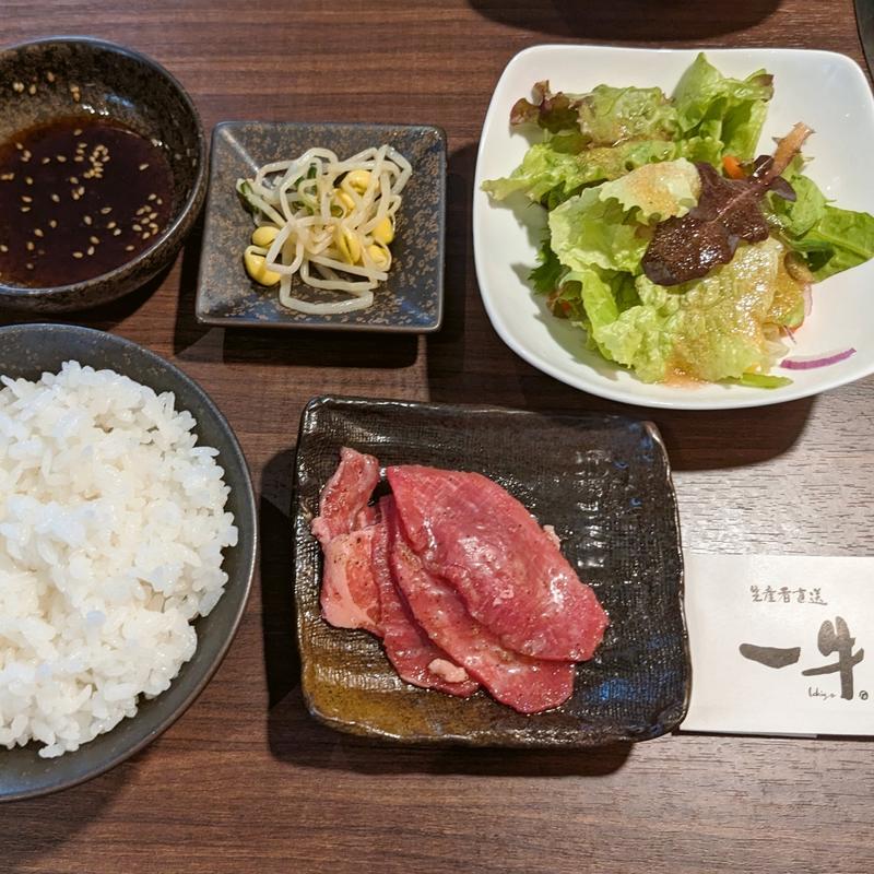 焼肉セット(生産者直送 焼肉 一牛)