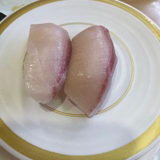 活け〆ハマチ(かっぱ寿司 三木店)