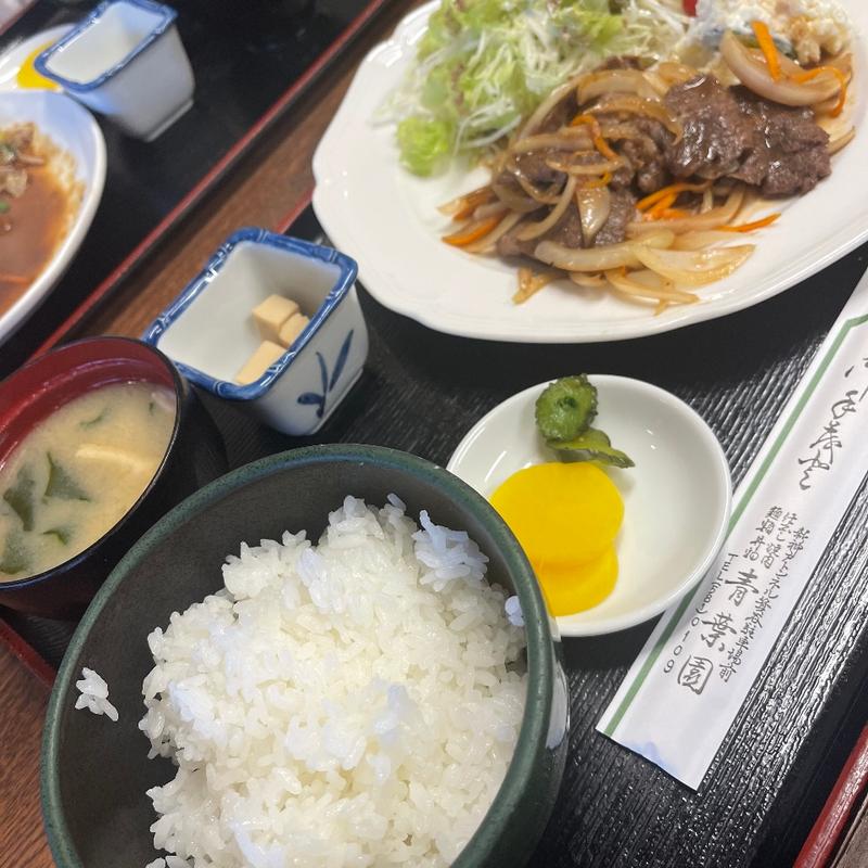 焼肉定食(青葉園)