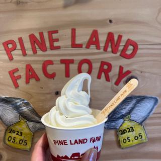 ソフトクリーム(PINELNAD FACTORY ～牧場直営店～)