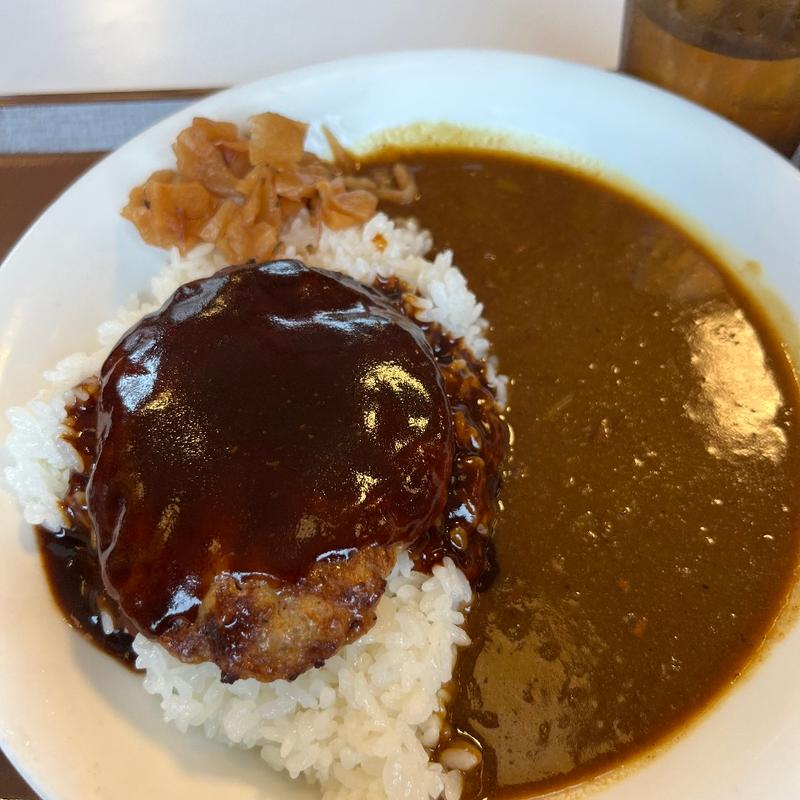 デミハンバーグカレー(すき家 甲州街道柴崎店)