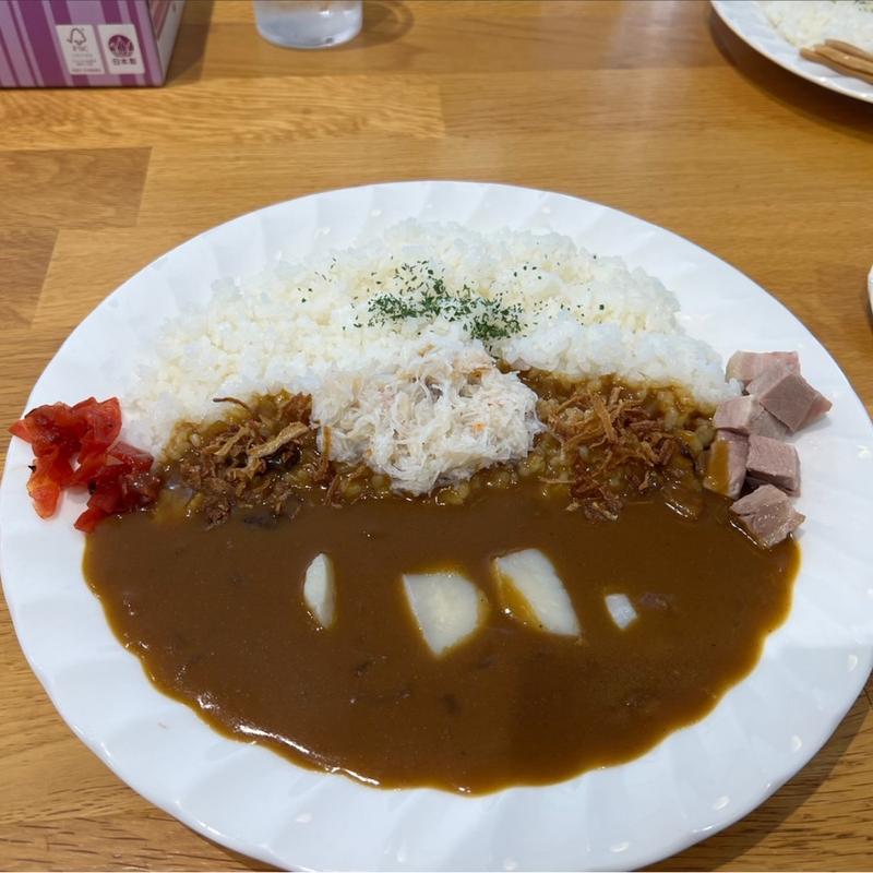 カレーライス(らーめん西や 紋別氷紋の駅店)