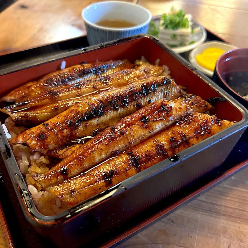 天然うな重(さこや )