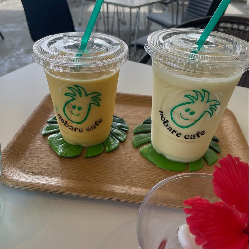 パインスムージー(のばれ岬 観光農園 のばれカフェ)