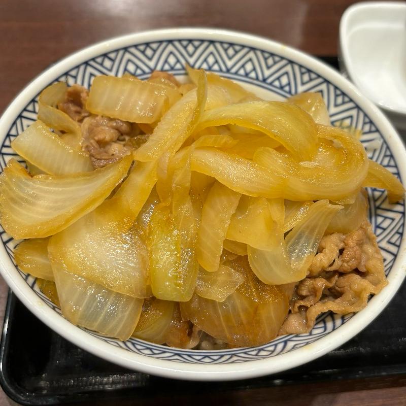 牛丼あたま大盛りねぎだく(吉野家 聖蹟桜ヶ丘駅店)