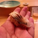 おまかせコース(鮨おにかいたすいち(＋1))