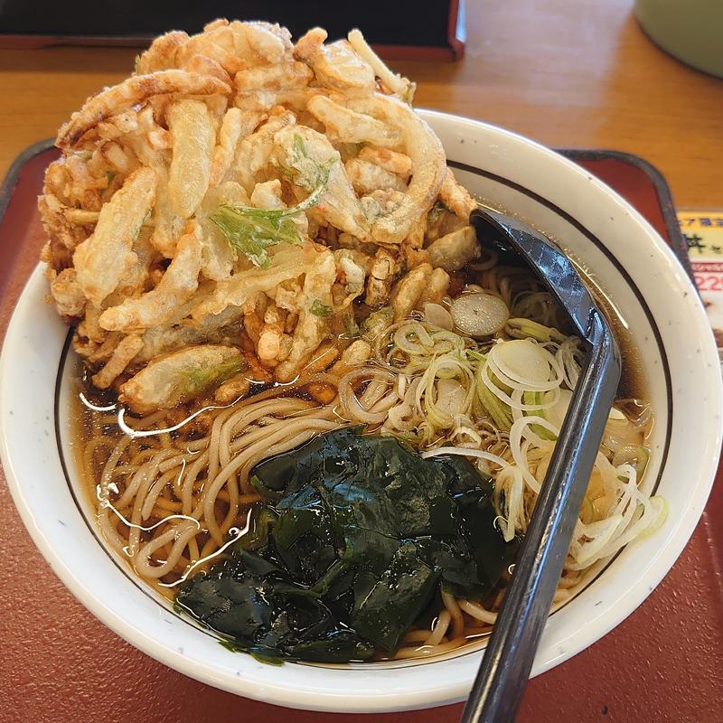 天ぷらそば＋大盛り(山田うどん食堂 岩瀬店 )