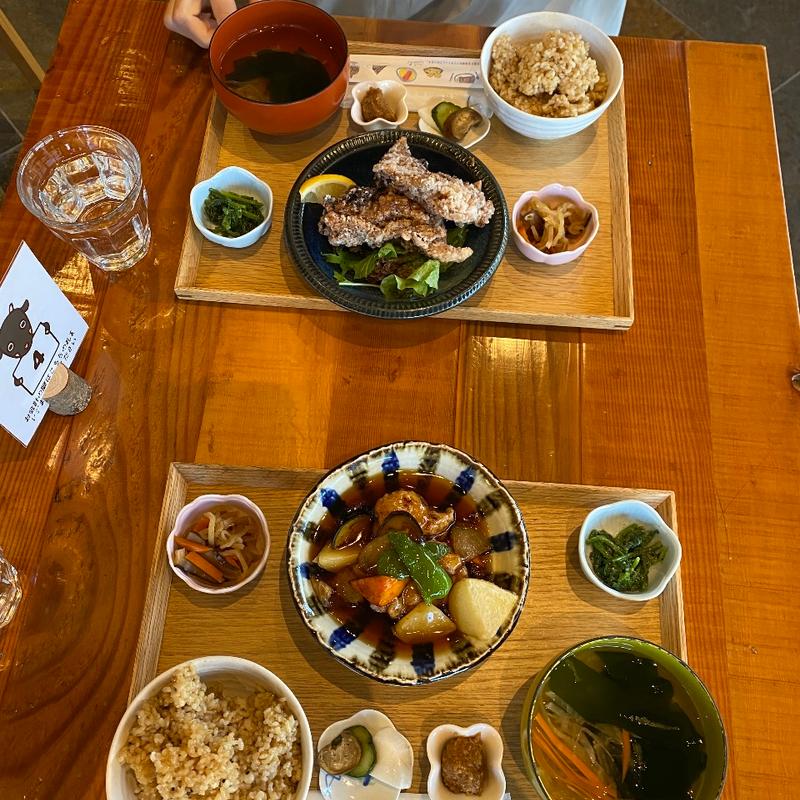 地元農家の野菜と国産鶏の黒酢あん定食と国産鶏の塩麹唐揚げ定食(あんだんち食堂)