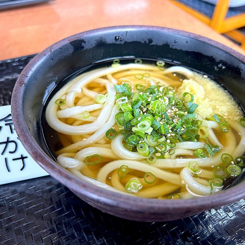 ひやかけうどん(香川屋本店)