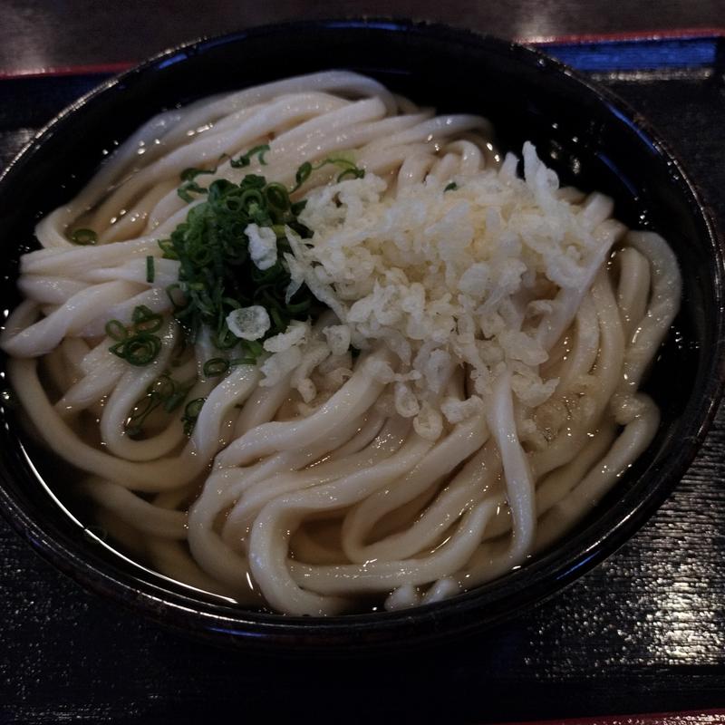 冷かけ（大）(蒜山本格手打うどん やす坊 )