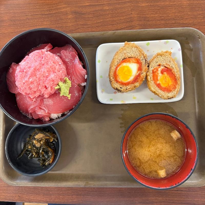 豪快二色丼(大遠会館 まぐろレストラン )
