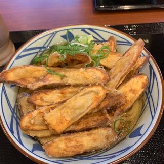 ゴボ天うどん(丸亀製麺 別府店 )