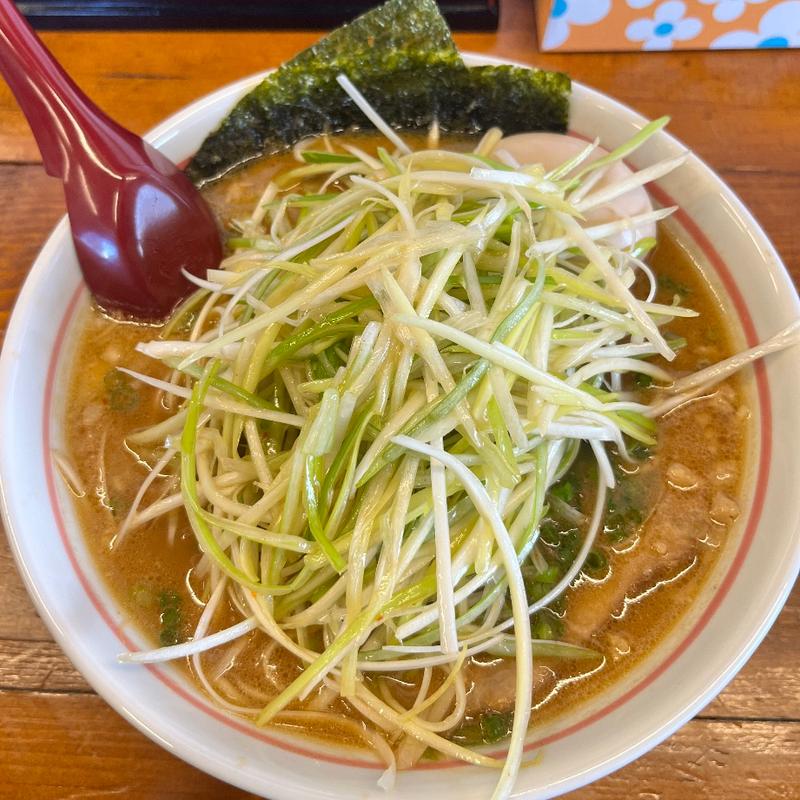 味噌ラーメン　味ネギ　たまご(らーめん越乃屋)