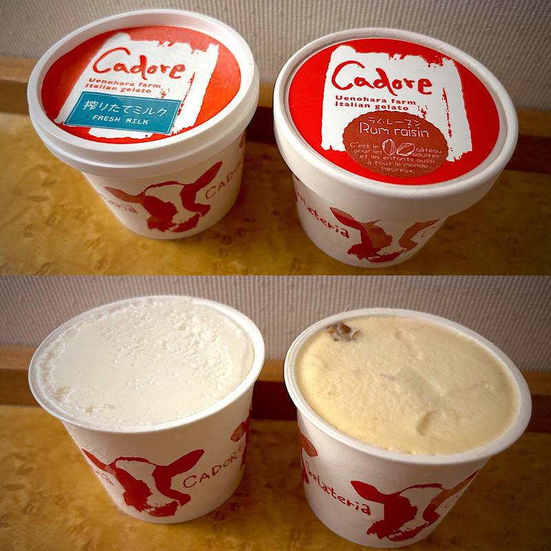 搾りたてミルク＆ラムレーズン(ジェラテリア カドーレ （Cadore）)
