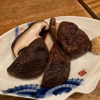 宮城　椎茸炭火焼(皿然 （さらさ）)