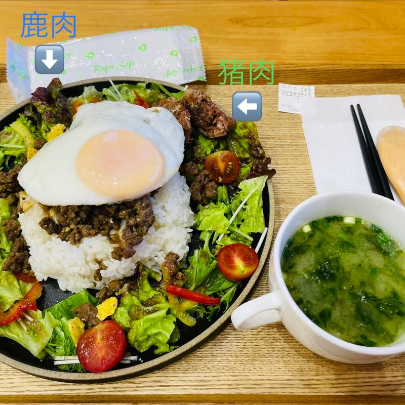 ジビエタコライス(つしにゃんキッチン)