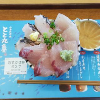 おまかせ丼(小田原漁港　とと丸食堂)