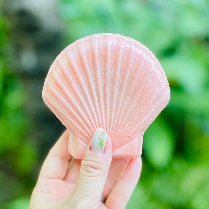 シーソルトアイスクリームモナカ(ディズニーシー)