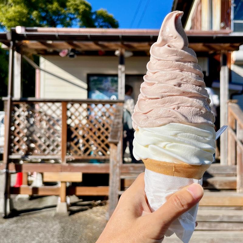 紫いも(よこすか関口牧場)