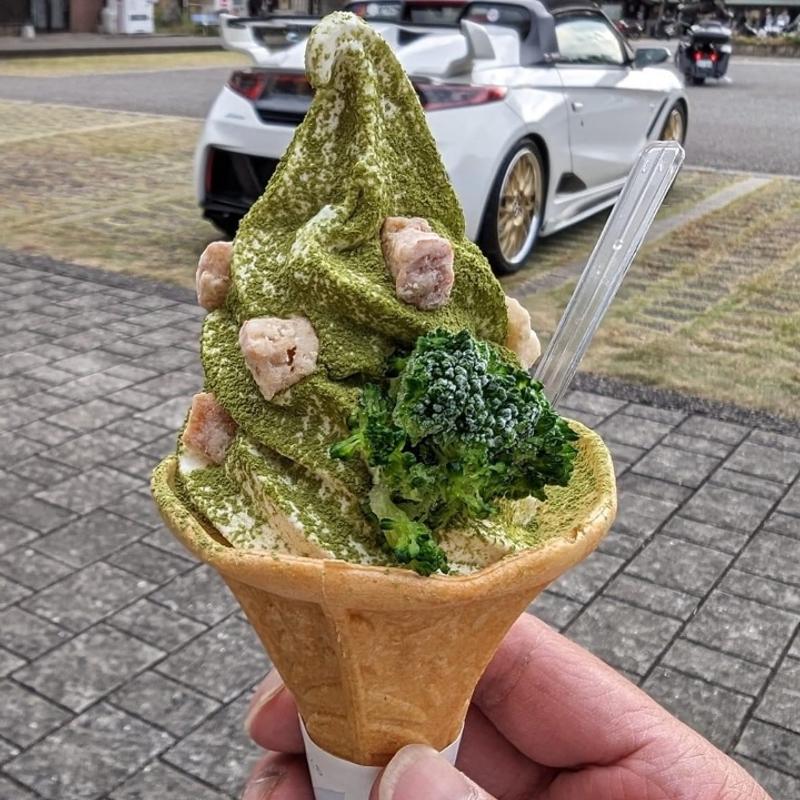 ジオソフト(ミネ 秋吉台ジオパークセンター カルスター)