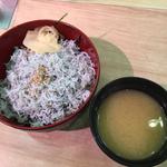 釜上げしらす丼(丸勘 )