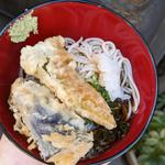 天ぷらそば(京乃四季 （きょうのしき）)