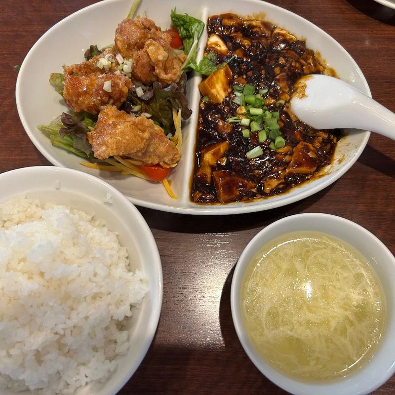 臥龍セット(中華 臥龍梅)