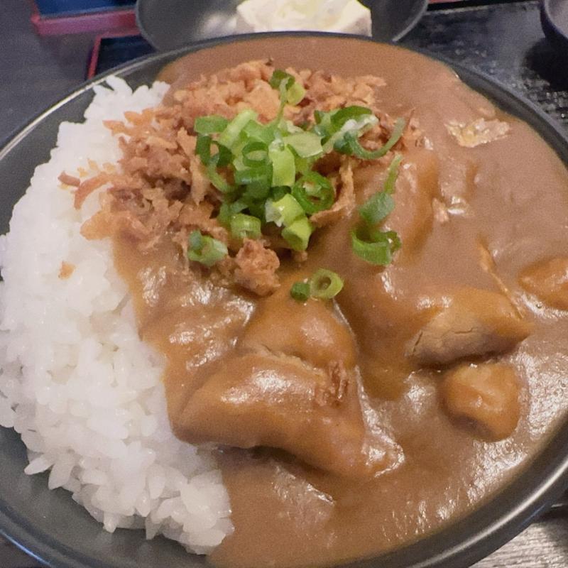 豚もつミニカレー(王里)