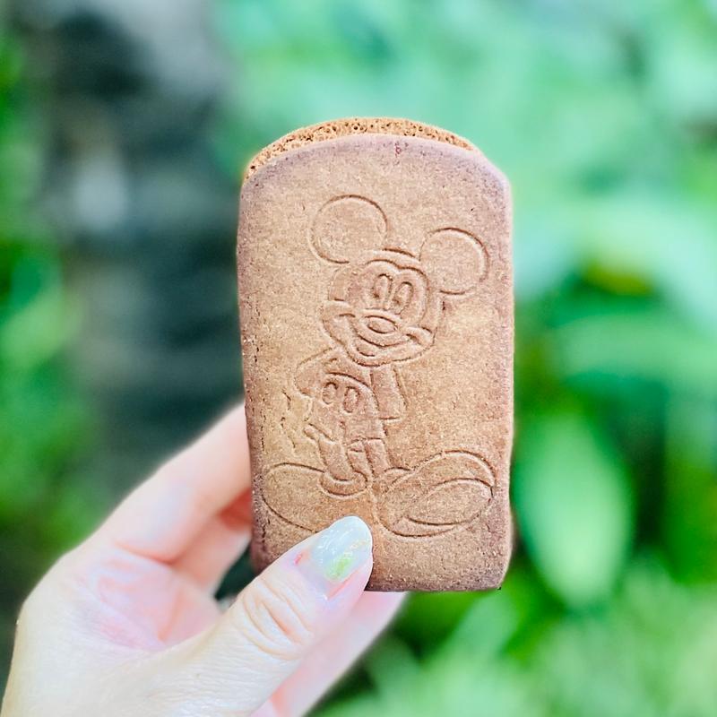 ティラミスクッキーアイス(ディズニーシー)