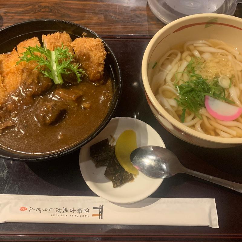 とびうめ豚のトンカツカレーうどん(手延べうどん きねや)