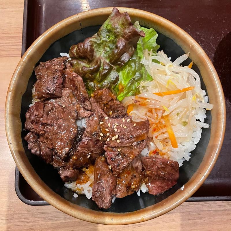 カルビ丼肉並(焼肉丼　炎伝 （ヒデン）)