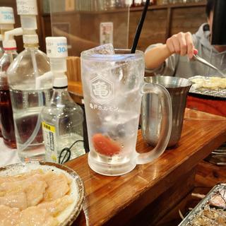 梅干しサワー(亀戸ホルモン 恵比寿店 （カメイドホルモン）)