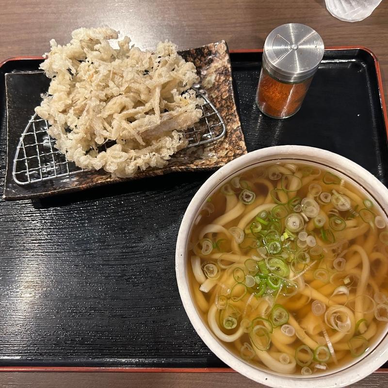 ごぼう天うどん（中）(お食事の店ながとも )