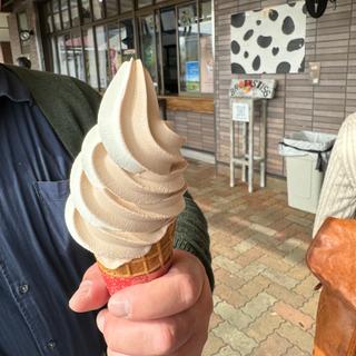 ソフトクリーム(大笹牧場 レストハウス 売店 )