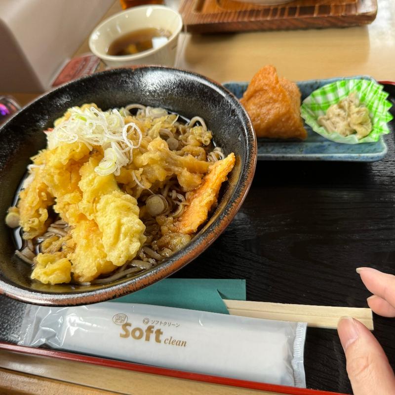 天ざる(そば処　ひなた )