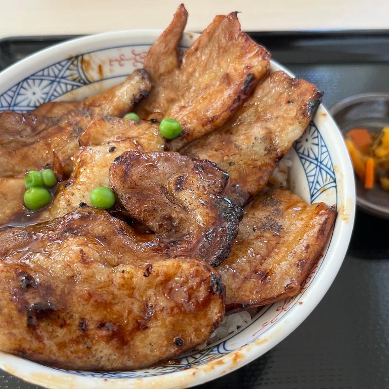 極み豚丼(十勝豚丼 わか葉 三井アウトレットパーク木更津)
