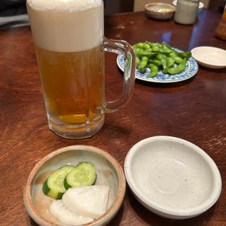 エビス生ビール（中）(不二かつ 日向本店 )