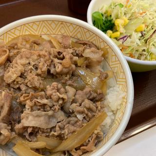 牛丼並+サラダセット(すき家 多摩乞田店 )