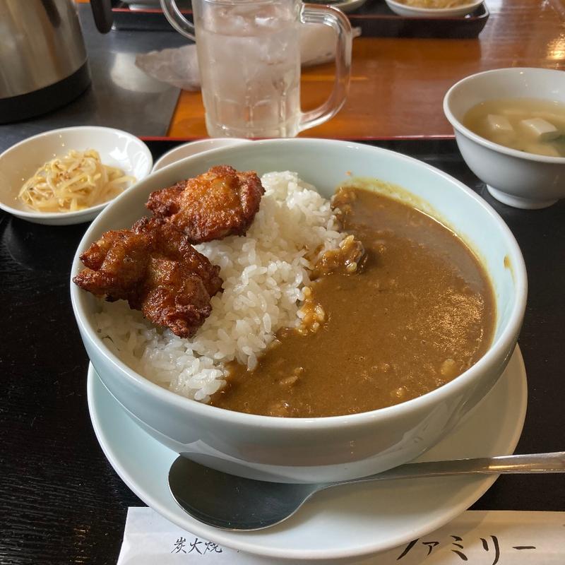 から揚げカレー(焼肉ハウスファミリー)